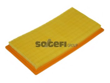 FRAM CA10118 Air Filter